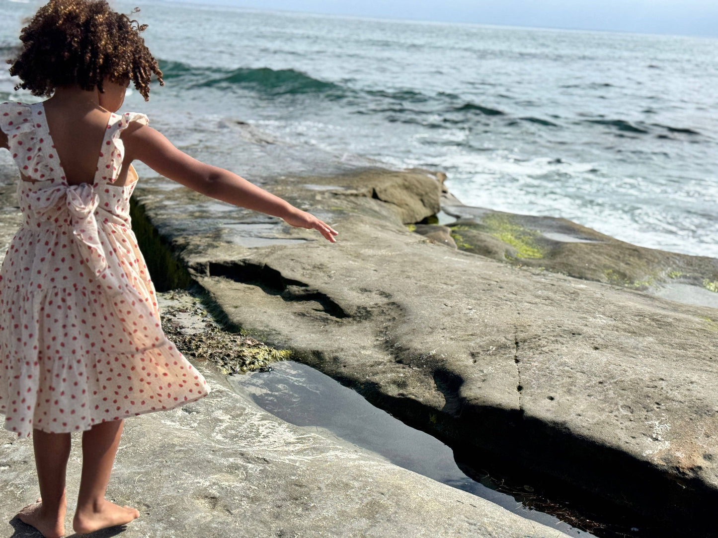 Emmie dress in oatmeal strawberries